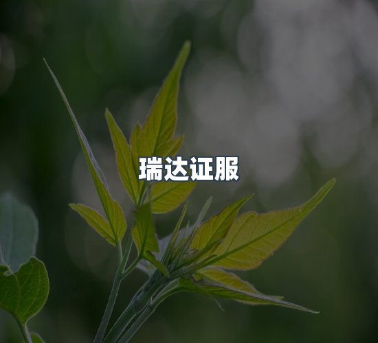 关于瑞达证服